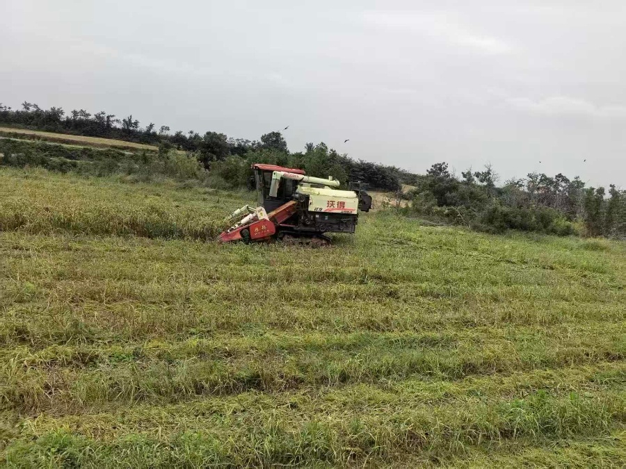 1760408090218696.jpg 1.jpg