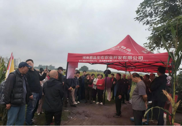 1761552529753595.png image.png