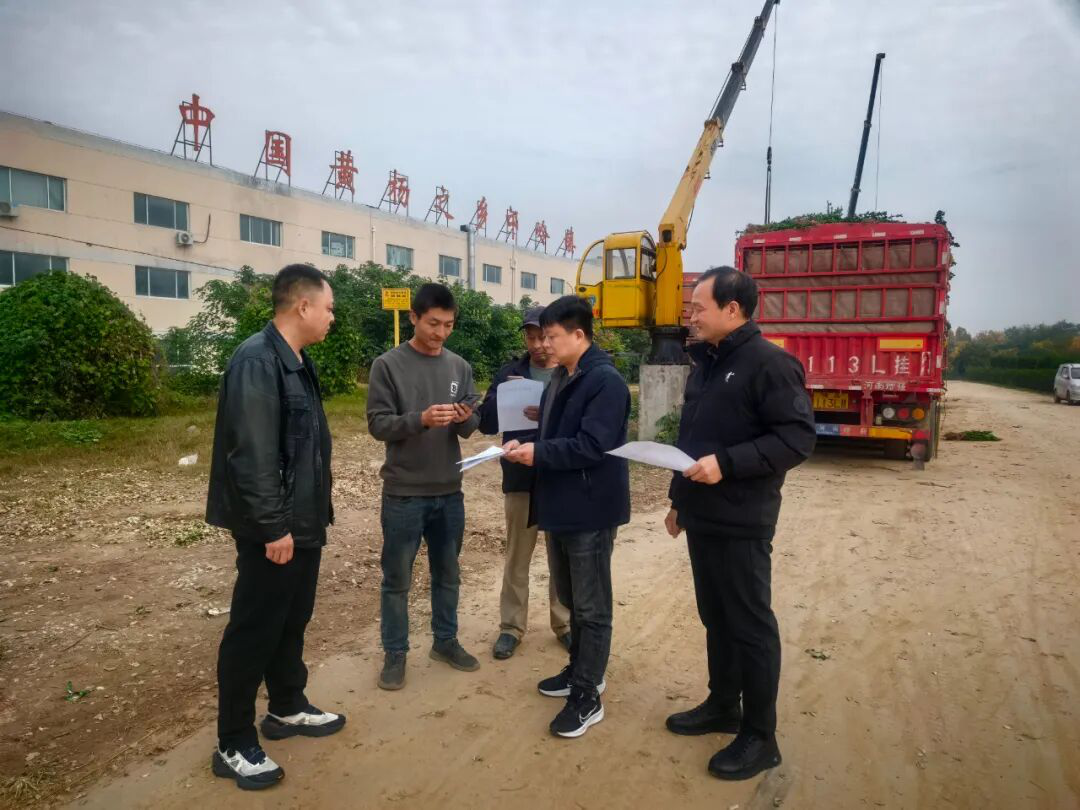 1763001767579548.png 640.png