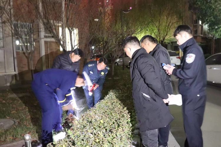 图片19.jpg