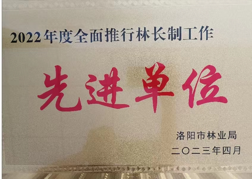 1687860526766766.jpg