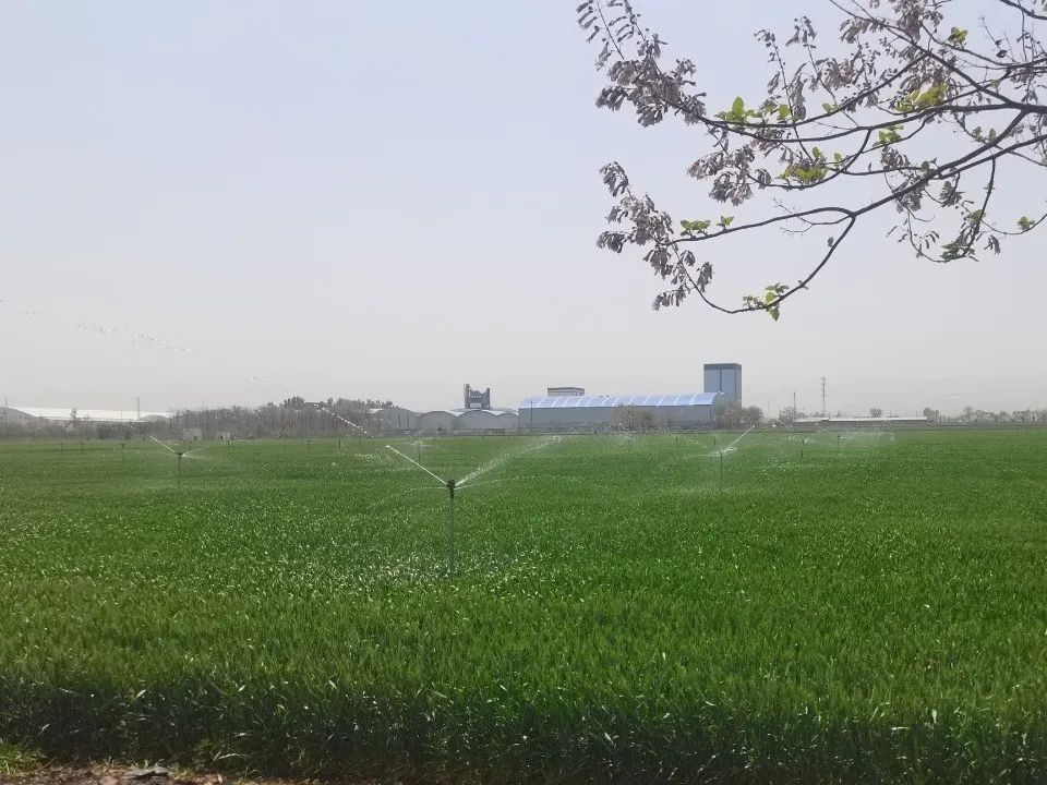 微信图片_20250421101904.jpg