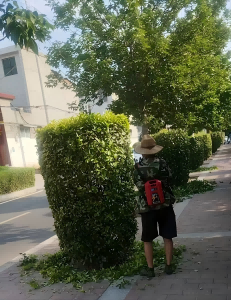 图片9(1).png