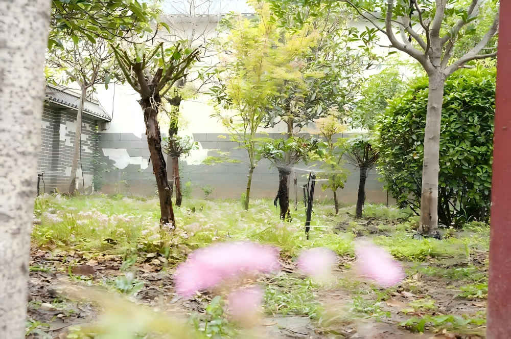 WPS图片(2)(1).png