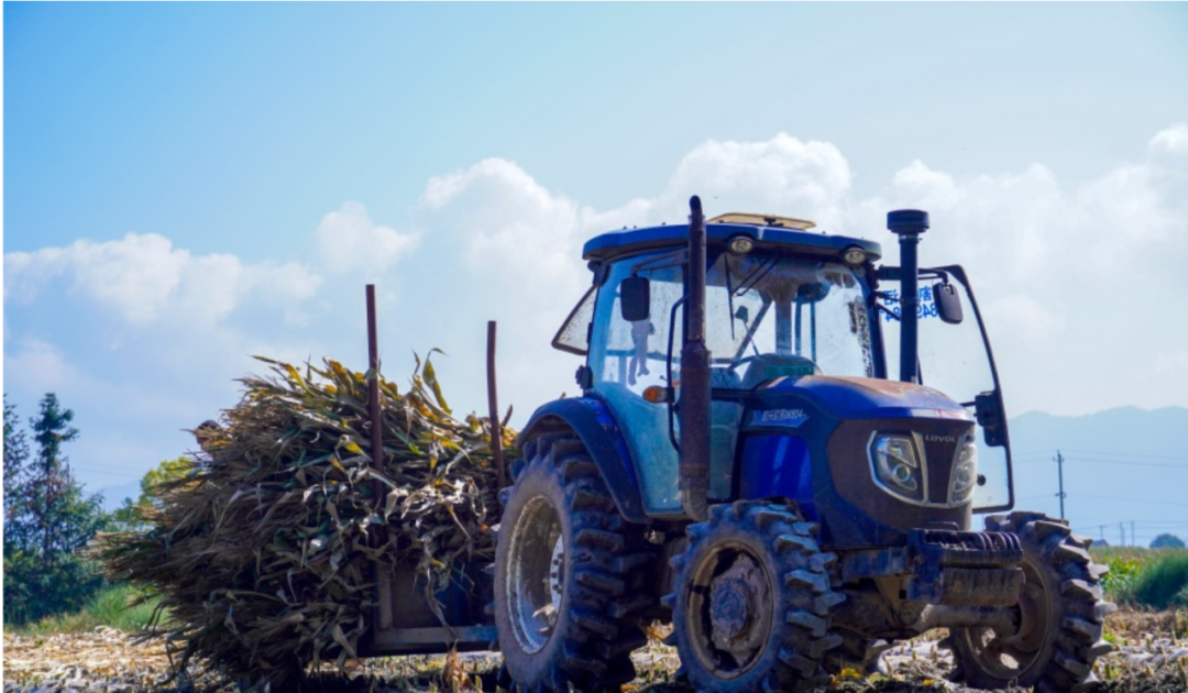 1761526114126271.png 640.png